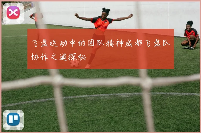 飞盘运动中的团队精神成都飞盘队协作之道探秘