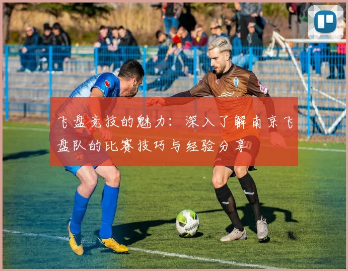 飞盘竞技的魅力：深入了解南京飞盘队的比赛技巧与经验分享