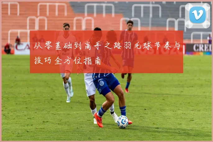 从零基础到高手之路羽毛球节奏与技巧全方位指南